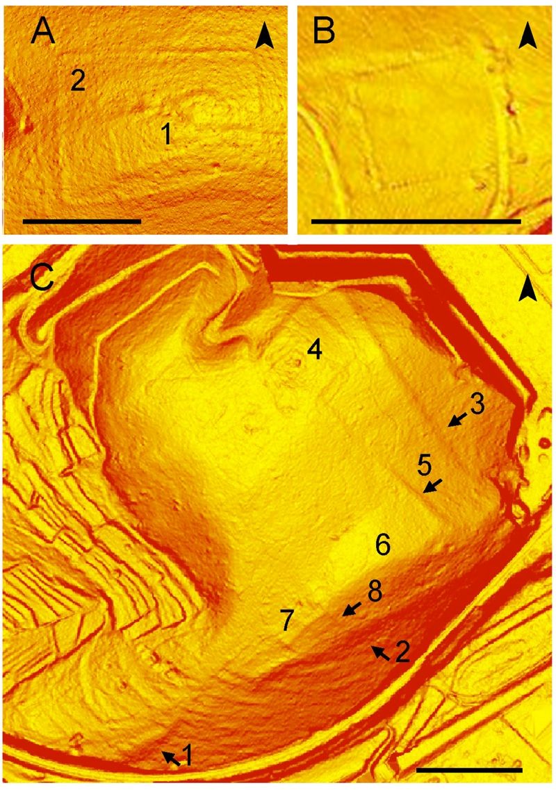 Laser Scanner - Geometra Pisa